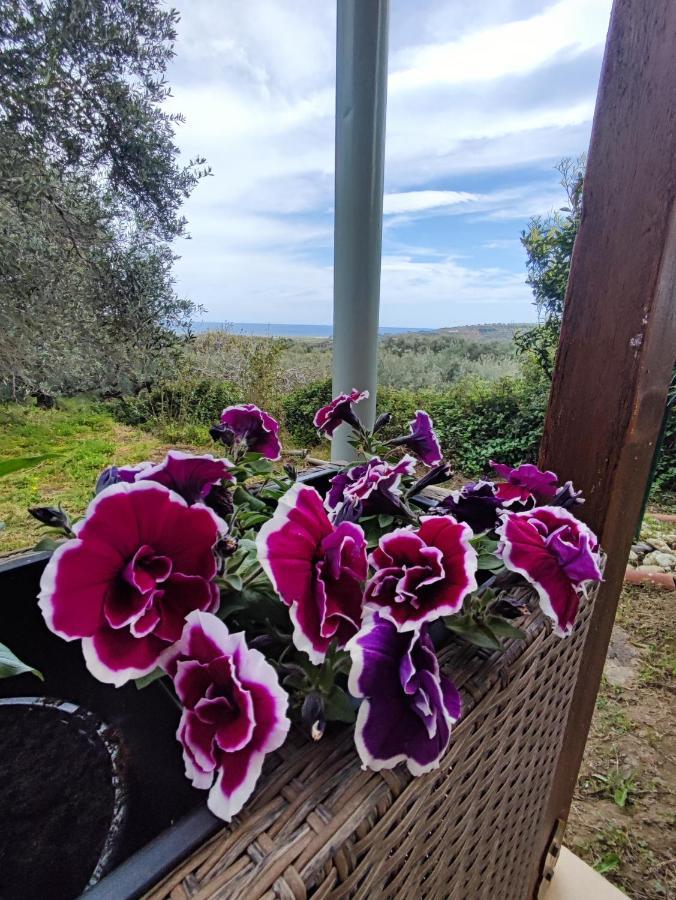 Anatolika Stamatis Paradise Dempla